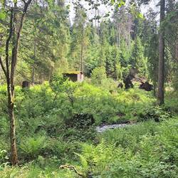 Natur am Spiegelbach