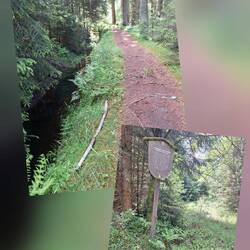 Schöne Waldwege entlang der Wassergräben