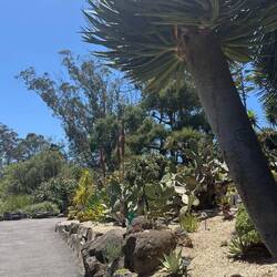Botanischer Garten