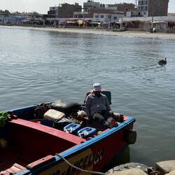 Mr. Fisherman