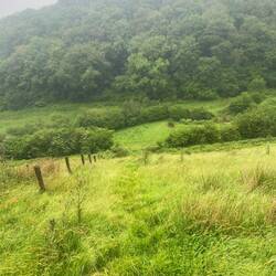This was a big hill that we had to climb