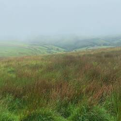 It was very misty in the afternoon