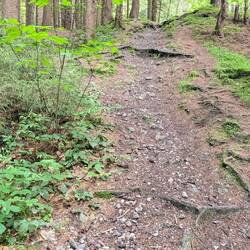 Uphill mit gut 20% Steigung