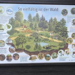 Beginn des Waldlehrpfades