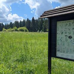 Überall schöne Wiesen, hier sogar mit Infos zu den Pflanzen