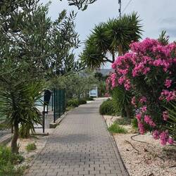 Walking from the beach