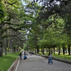 'Rinia - Park' zum Spazieren unter Bäumen