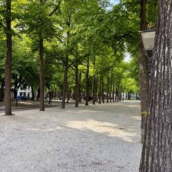 Die Flaniermeile Lange Voorhout