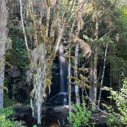 Pretty waterfall