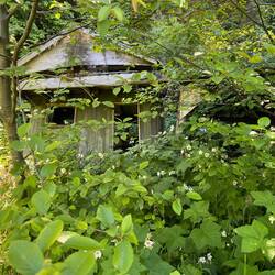 Land for sale. Found some dilapidated buildings when we walked down the driveway.
