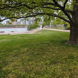 The more you look around the more you see. It's lovely to see special places as we walk back .