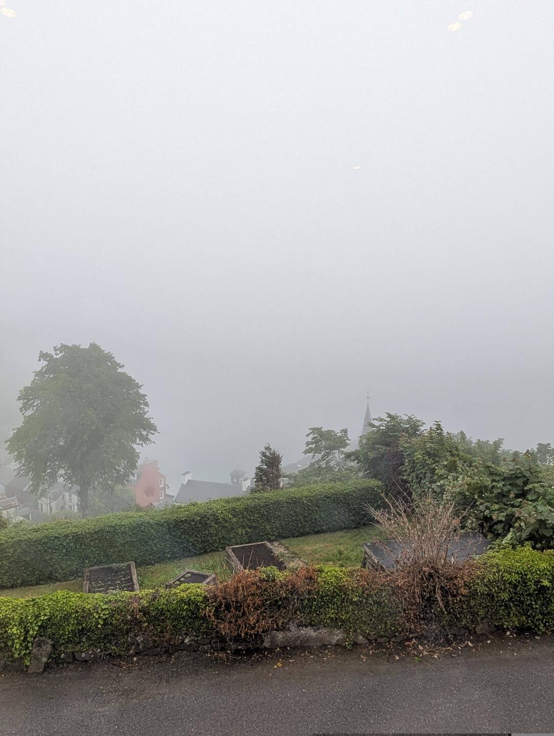 Foggy morning