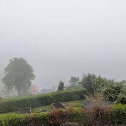 Foggy morning