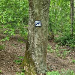 Einen Reiter der uns das vormacht haben wir leider nicht getroffen