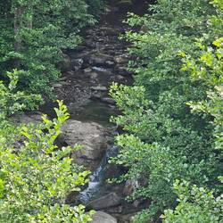 Torrente Vicano di Pelago