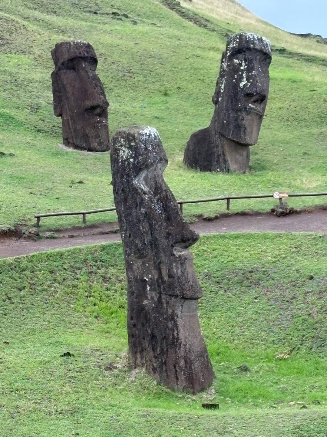 Quarry site...these Moai were on their way to their destination but civil war disrupted the journey