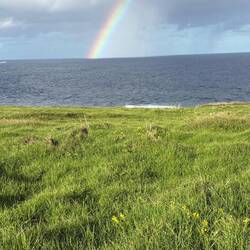 Lovely rainbow!