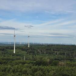 Ausblick vom Turm aus