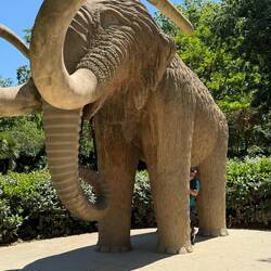 Because large elephant statues belong in a park??