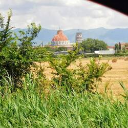 Dom und Schiefer Turm von Pisa