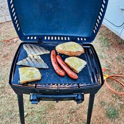Mixed Grill