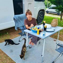 Abendessen in bester Gesellschaft