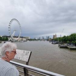 The chicky babe and the London Eye.