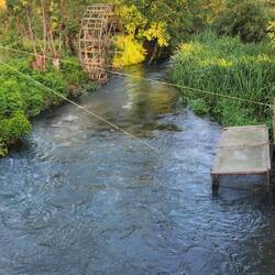 Wasserrad, re. unten sind die Forellen