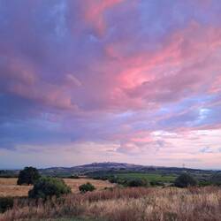 Mottala Sunset