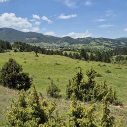 Das Dorf selber liegt in grüner Berglandschaft