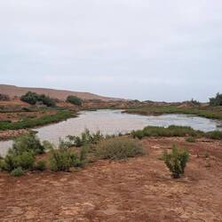 Mittags zeigt sich: Wasser = Leben