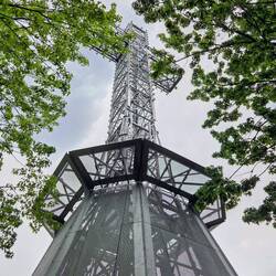 Auf dem Mont Royal
