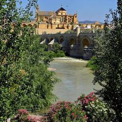 View from across the river