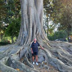 One of many HUGE trees in Murillo Gardens