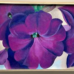 Photo doesn't do it justice, but you can tell exactly what these petunias feel like!