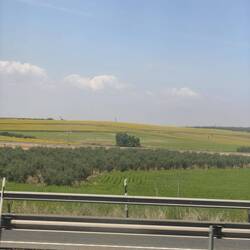 Countryside heading into seville