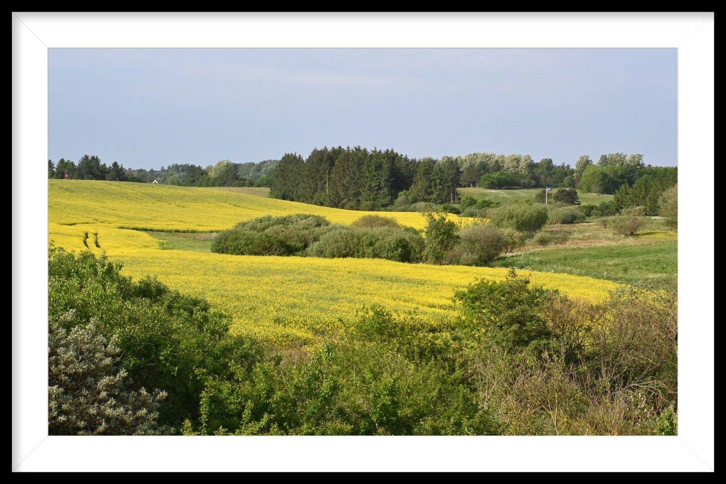 Durch schöne Natur- ....