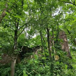 Burgruine Bornstedt