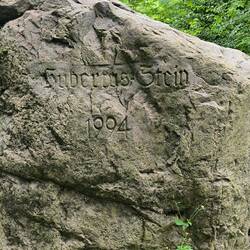 mitten im Wald