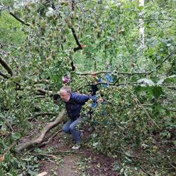 unter dem Baum mussten wir durch