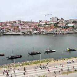 überall in Porto finden sich Straßenmusiker