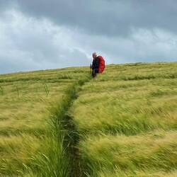 Finding our way through the fields