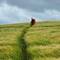 Finding our way through the fields