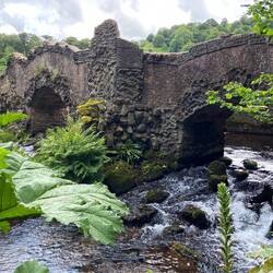 Lover's bridge Dunster