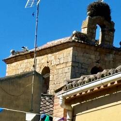 We've seen stork nests on top of almost all the churches.