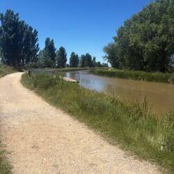 You can take a boat along this little canal between Boadilla and Frómista (about 4 miles).