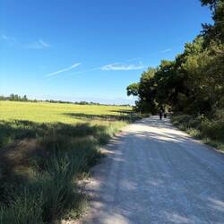 This road followed a river, so there was shade for a while.