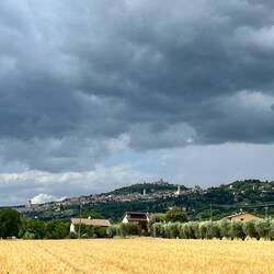 Au loin la ville d'Assisi, assise au pied de la montagne