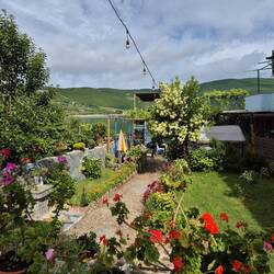 Und unten im Garten