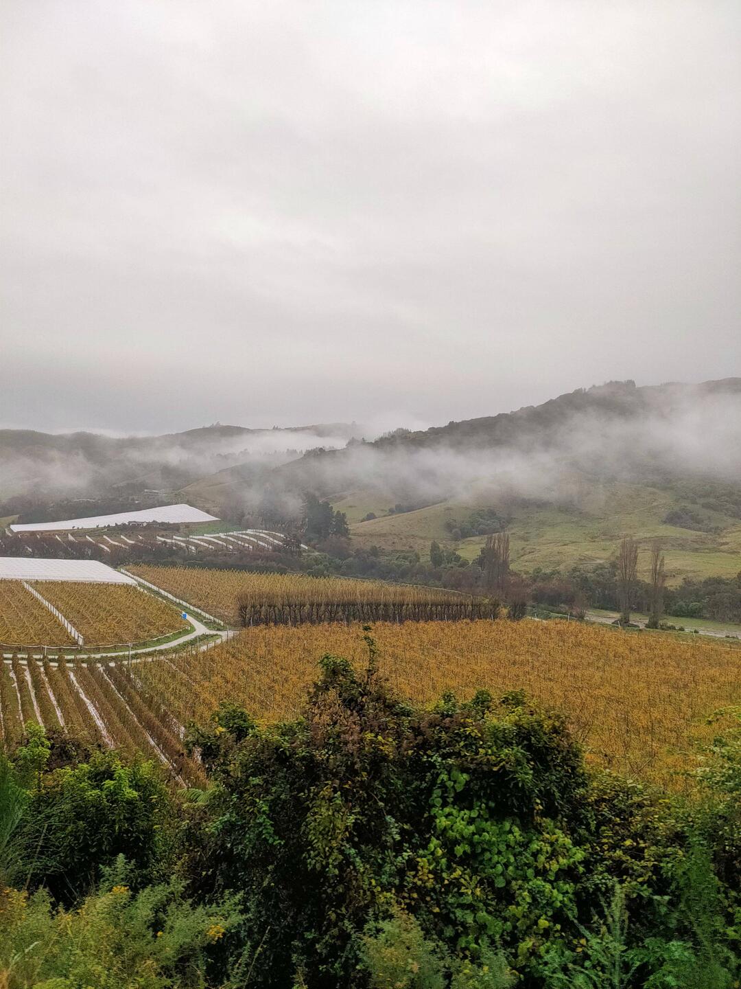 In the clouds on the way over the hill